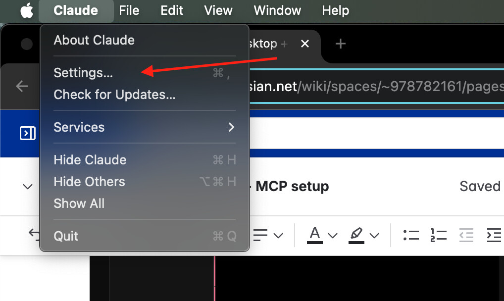 Claude Developer Settings